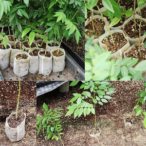 Nursery Pots Seed-Raising Bags