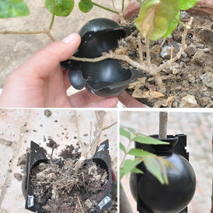 Black / White Plant Root Growing Box